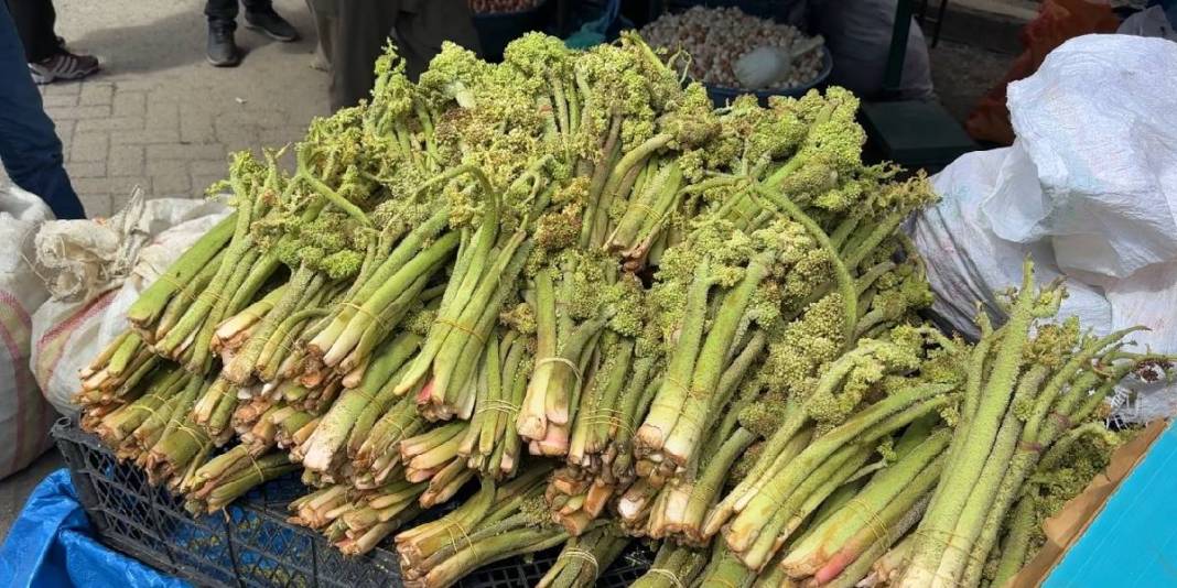 Zorlu coğrafyada kendiliğinden yetişiyor: Pazar tezgahında 150 TL’den satışta! 2